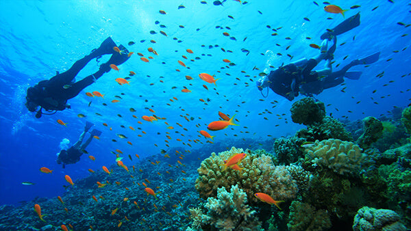 🦞 Play & Dive in Playa Langosta, Costa Rica! 🏝️