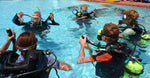 Load image into Gallery viewer, Learn Scuba Chicago - New Diver - Round Table
