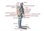 Load image into Gallery viewer, Learn Scuba Chicago - New Diver - Round Table
